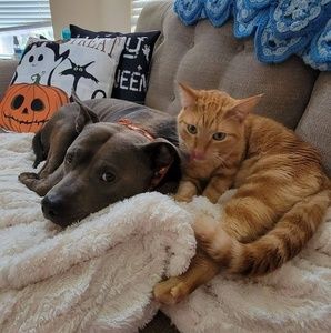 Meet your Posher, Jenny